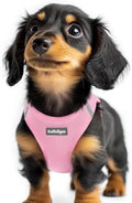 rabbitgoo Step-in Small Dog Harness, Puppy Vest by rabbitgoo