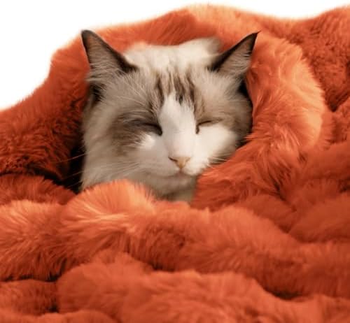 SOMAHE Soft Faux Fur Cat Blanket, Small 22x18 Vibrant Orange by COZYHOMECHICSTYLE