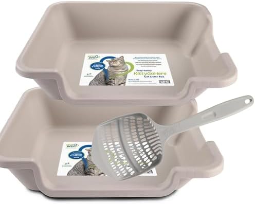 KittyGoHere 2.0 Easy Entry Cat Litter Box, 2 Pack Large Misty Gray by NE14pets