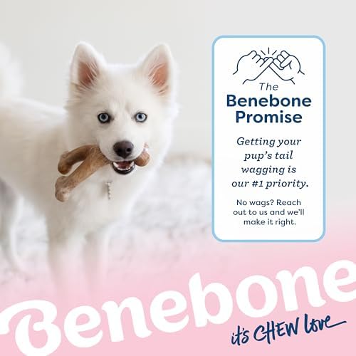 Benebone Puppy Wishbone Dog Chew Toy, Real Bacon - Image 6