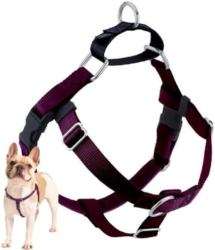 2 Hounds Design Freedom No Pull Dog Harness, 5/8 inch XS by 2HoundsDesign