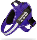 Custom No Pull Dog Harness by PawPawify