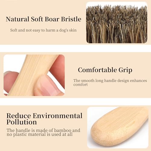 Soft Boar Bristle Dog Brush for Short Haired, Ideal Pet Hair Brush - Image 4