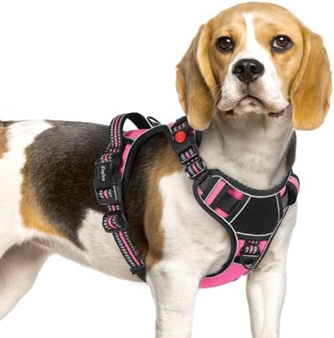 Eagloo Dog Harness No Pull for Small Dogs, Easy On & Off by GoExplorewithEagloo