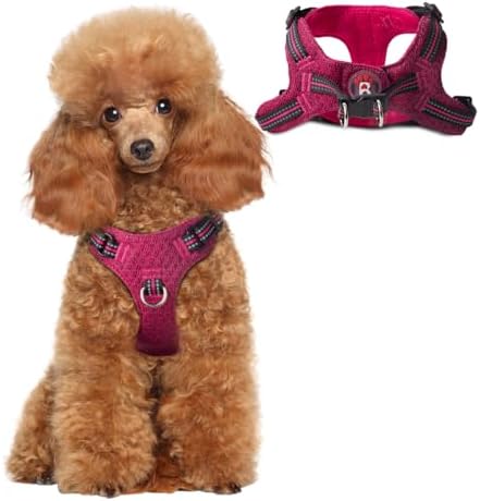 BARKBAY Small Dog Harness, No Pull Puppy Harness, Step-in Dog Vest by BARKBAY