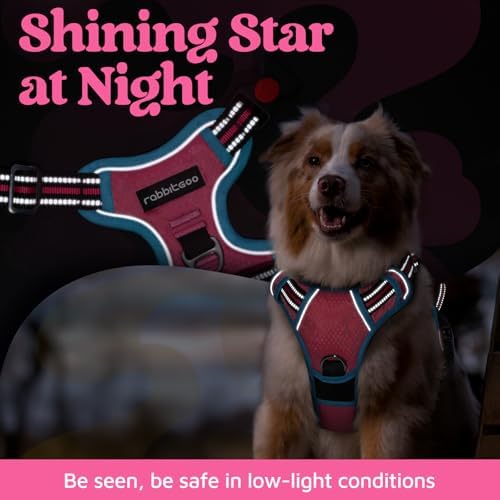rabbitgoo Dog Harness for Large, No Pull 3 Buckles Easy On & Off - Image 6