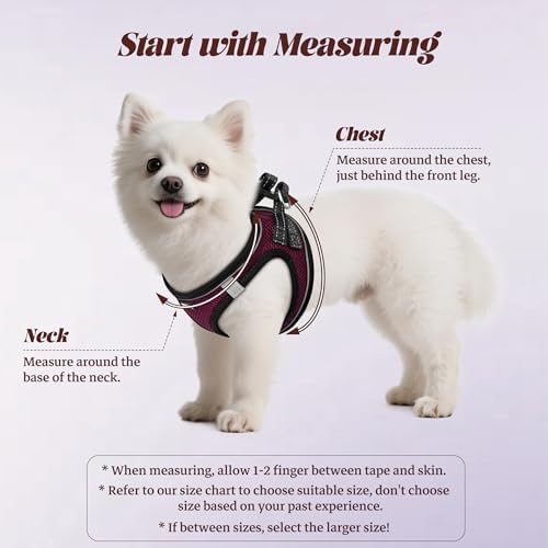 No Pull Dog Puppy Harness and Leash Set Reflective Mesh Vest X-Small - Image 2