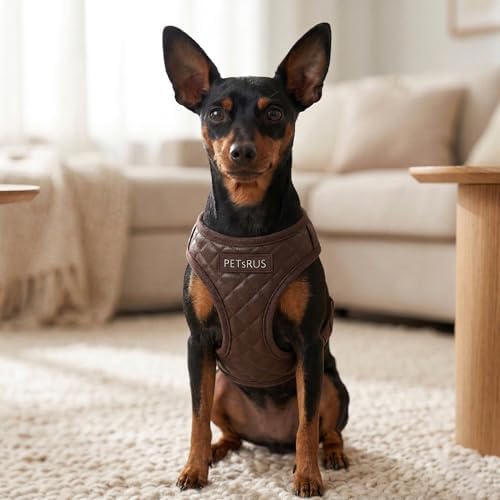 Step in Dog Harness, Lightweight Breathable Mesh Soft Padded Pet Vest, Vegan - Image 6