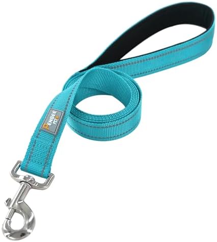 6 FT Basic Dog Leash for Small Dogs, Sky Blue - Image 2