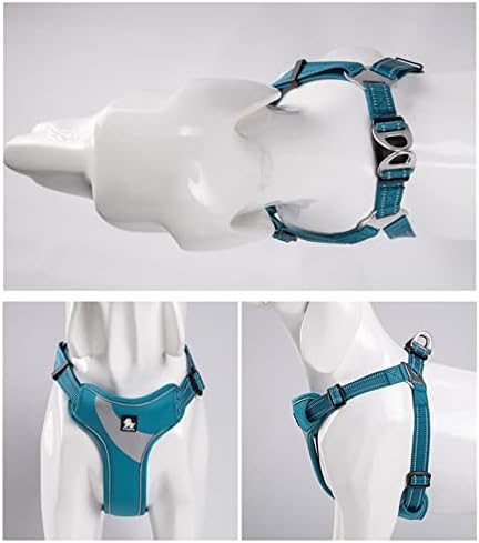 TRUE LOVE Step-in Dog Harness, Reflective, Breathable - Image 6