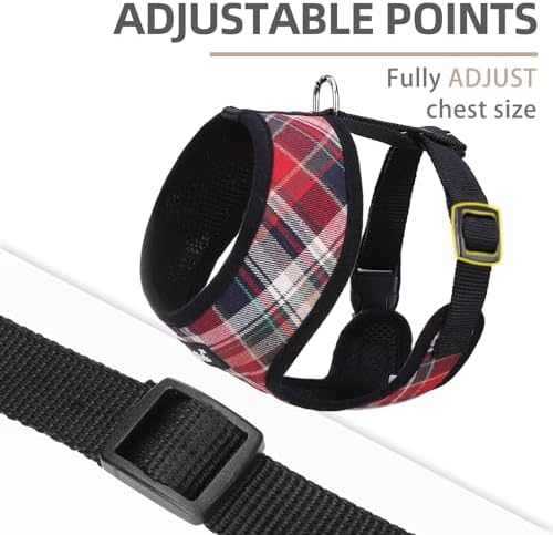 PUPTECK Small Dog Harness and Leash Set No Pull - Image 3
