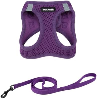 Voyager Step-in Air Cat Harness & Leash Set by BestPetSuppliesLLC