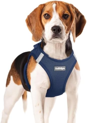 rabbitgoo Step-in Small Dog Harness, Puppy Vest by rabbitgoo