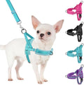 SlowTon No Pull Small Dog Harness and Leash Set by SlowTon