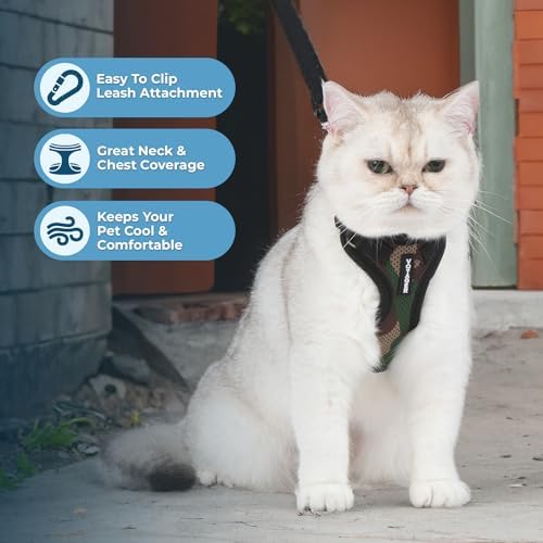 Voyager Step-in Lock Cat Harness & Leash Set - Image 5