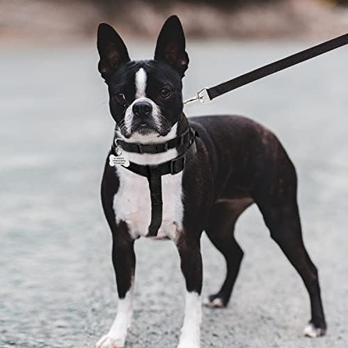 No Pull Dog Harness, Leash & Collar Set, Adjustable Step-in Vest - Image 5