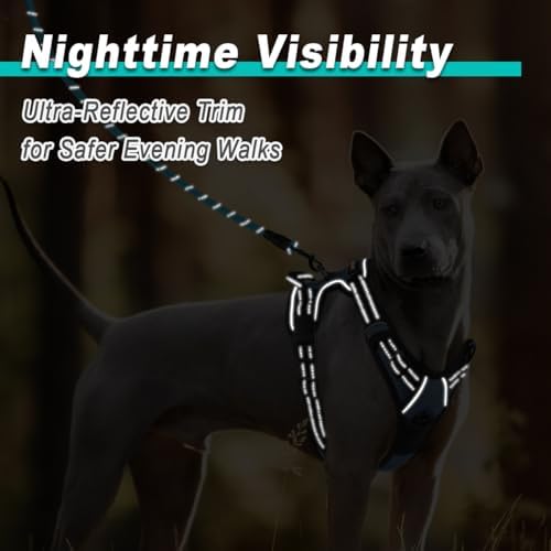 BARKBAY Dog Harness for Medium Sized Dog No Pull 2 Leash Clips Dog Vest - Image 5