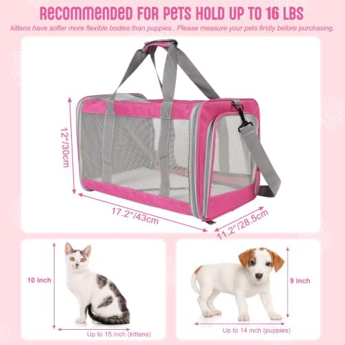 Pet Carrier for Large Cats of 20 Lbs, Collapsible Carrier Bag for Big Cat or 2 - Image 2