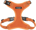 Voyager Step-in Lock Dog Harness by BestPetSuppliesLLC