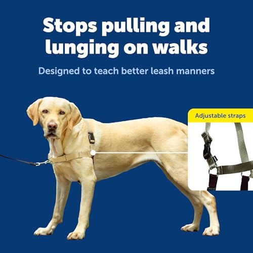 PetSafe Easy Walk Harness, No Pull Dog Harness - Image 3
