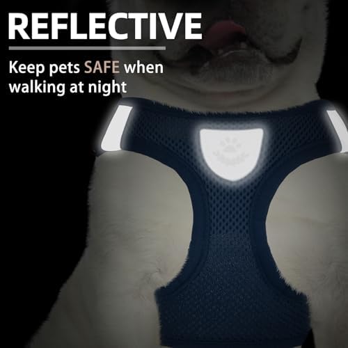 PUPTECK Dog Harness, Collar and Leash Set No Pull - Image 5