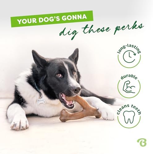 Benebone 2-Pack Wishbone Chew Toy - Image 3
