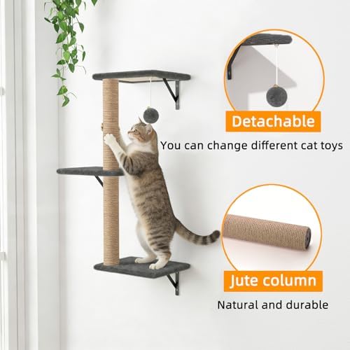Cat Wall Shelves 5-Piece Set, Cat Walls Furniture - Image 3