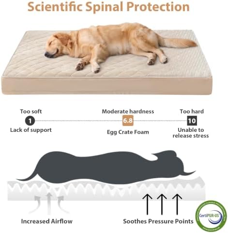WNPETHOME Orthopedic XXL Dog Beds - Image 3