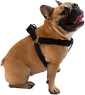 Dog Harness Easy to Use 2 Step Secure Safe Comfortable Firm No Struggle Pull by Unknown