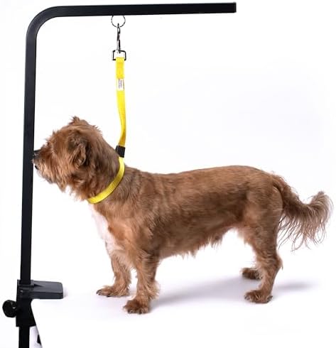 Country Brook Petz­ - Image 2
