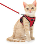 Dooradar Cat Harness and Leash Set, Adjustable and Escape Proof by Dooradar