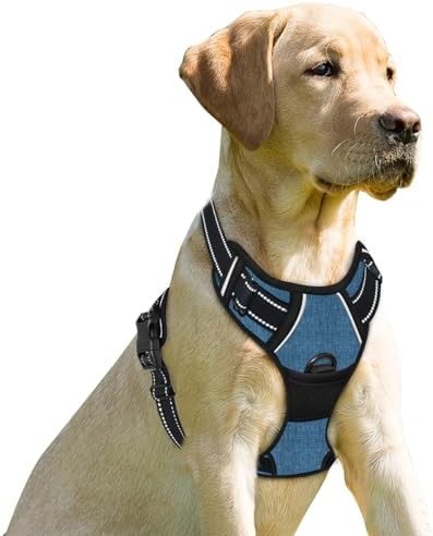 BARKBAY Dog Harness No Pull for Small Sized Dog Front Back Clips, Dog Vest by BARKBAY