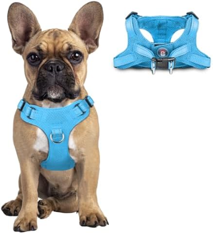 BARKBAY Dog Harness Medium Sized Dog, No Pull Puppy Harness, Step-in Dog Vest by BARKBAY