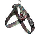 BULLHUG Adjustable Dog Harness– No Pull, No Choke – by BULLHUG