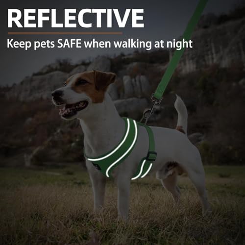 PUPTECK Small Dog Harness and Leash Set No Pull - Image 6