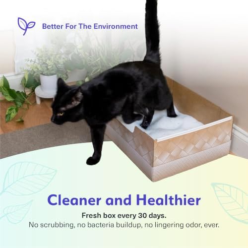 Kitty Poo Club Disposable Cat Litter Box 2-Pack - Image 3