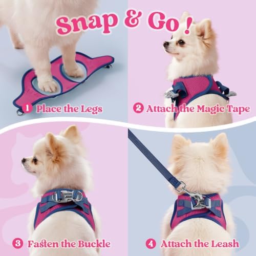 rabbitgoo Dog Harness Small Sized and Leash Set, Step in Soft Vest - Image 2