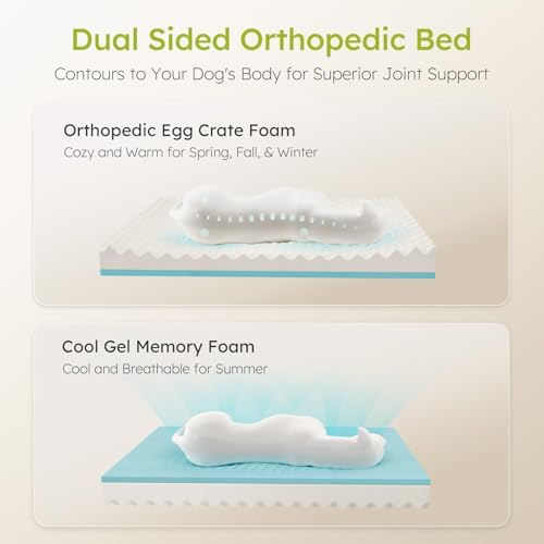 CWAWZ XXL Dog Bed for Extra Large Dogs, Giant Orthopedic Dog Bed - Image 2