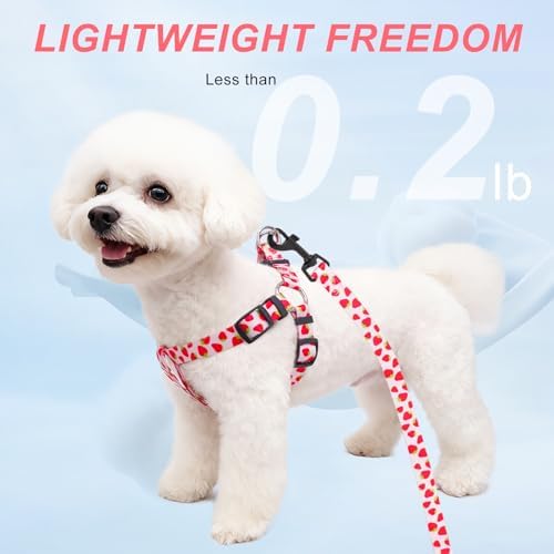 BEAUTYZOO Dog Harness Small Sized Dog Girl, No Pull Dog Harness and Leash Set - Image 3
