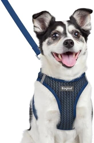 Eagloo Small Dog Harness and Leash Set, Step in Medium Small Puppy Pet Vest by GoExplorewithEagloo