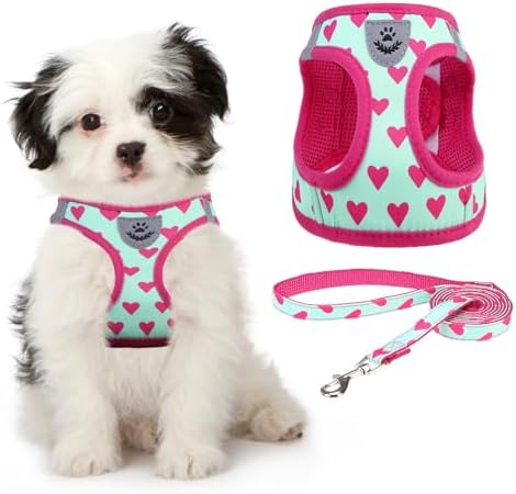 KOOLTAIL Valentines Dog Harness and Leash Set by KOOLTAIL