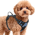 BARKBAY Dog Harness for Small Sized Dog No Pull 2 Leash Clips Dog Vest by BARKBAY