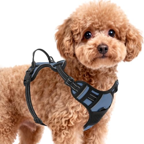 BARKBAY Dog Harness for Small Sized Dog No Pull 2 Leash Clips Dog Vest by BARKBAY