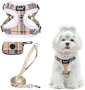 PUPTECK Dog Harness and Leash Set Small Sized, Step in No Pull Adjustable Puppy by PUPTECK