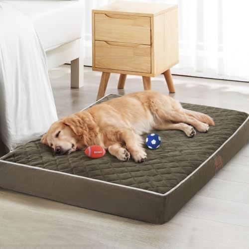 WNPETHOME Orthopedic Giant Human Dog Beds by WNPETHOMEPETSHOME