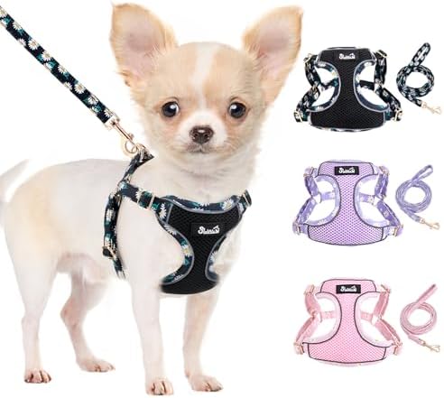 Lukovee Small Dog Harness and Leash Set, No Pull Lightweight Soft Mesh Vest by Lukovee
