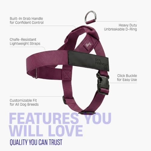Dog Friendly Co. Dog Harness for Small Dogs - Image 5