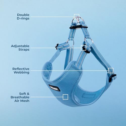 Voyager Step-in Flex Adjustable Dog Harness - Image 4