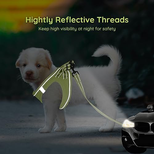 BELLA & PAL Step in Puppy Harness and Leash Set - Image 4