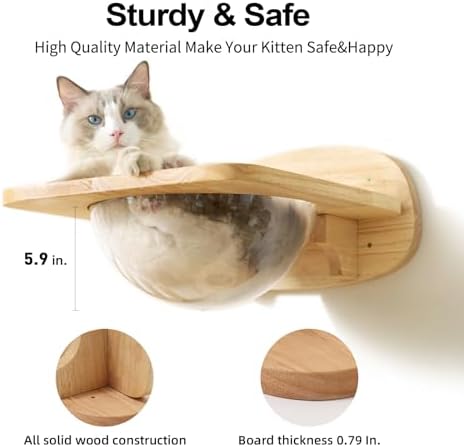 FUKUMARU Cat Wall Furniture Set, Transparent Capsule - Image 4